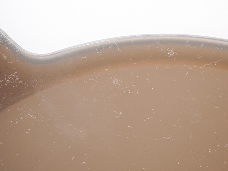 無印良品「レンジで使える シリコーン蓋」