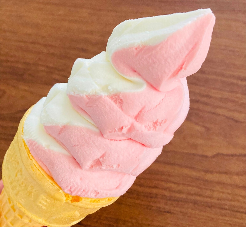 これは争奪戦！待望の新作アイス、まさかのお値段「サイズも大きめ」トップバリュ本気すぎるわ！