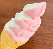 これは争奪戦！待望の新作アイス、まさかのお値段「サイズも大きめ」トップバリュ本気すぎるわ！