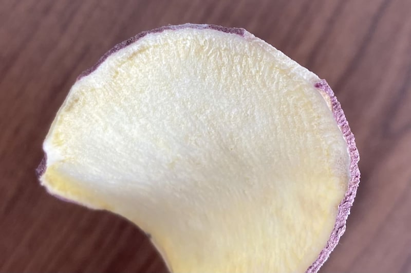 ダイソー「電子レンジチップスメーカー」