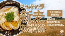 はなまるうどん、獲れたて小麦の「#新麦収穫祭」モチモチの新麦麺を限定販売！麺がなくなり次第終了
