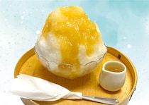 かき氷専門店『しろいくも』北千里、果実本来の美味しさ味わう『果実蜜氷』販売開始