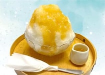 かき氷専門店『しろいくも』北千里、果実本来の美味しさ味わう『果実蜜氷』販売開始