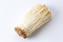 【豆知識】「えっ…知らなかった！」　これが旬の「エノキ」を長持ちさせる“保存方法”です！