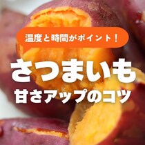 旬のサツマイモ、加熱方法を工夫すれば“甘さ”アップ　うまく調理するコツとは