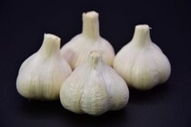 【疑問】国産と中国産の「ニンニク」は何が違う？　“疑問”を管理栄養士に聞いてみた