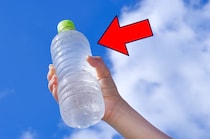 【実際の画像】「えっ、すごい……！」→これが日本初の「ペットボトル入りしょうゆ」です！