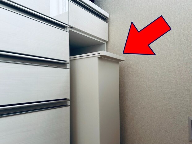 「ゴミ箱」自体の掃除、ちゃんとやってる?→実は多かった「におい対策」を頑張る人たちの《すぐマネできる》ライフハック