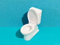 「いくら言っても立ちションする」　実は多い《座ってトイレをしない夫》にイライラする妻たち→有効な対処法が集まる