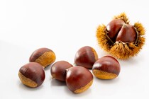 【豆知識】「えっ…！」　これがおいしい「栗」を見分けるコツです！