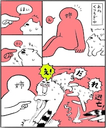 【ねこ漫画】帰国中の姉のアプローチにビビりまくり！？　見慣れない人に戸惑う猫の「絶妙な距離感」が笑える