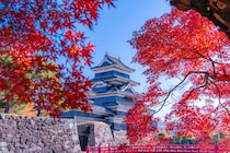 2025年「秋のお城トレンドアクセス」ランキング　3位「大坂城」2位「松本城」…1位は？