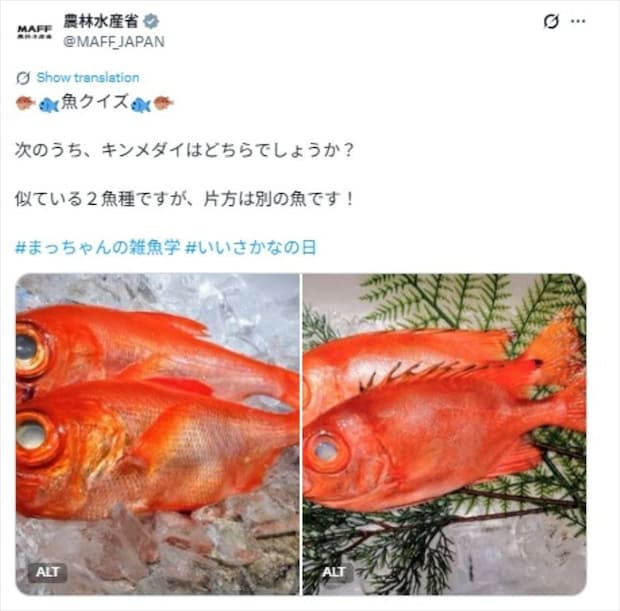 農林水産省「魚クイズ」にSNS「むずかしい問題」　キンメダイはどちら？　鈴木大臣も参加「さすが！」