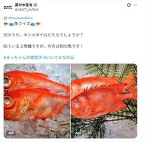 農林水産省「魚クイズ」が激ムズ　鈴木大臣も参加