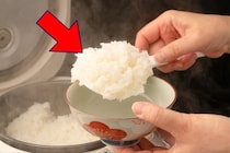 【話題】「ご飯をおわんに盛り付ける」こと、何と言ってる？→実は“出身地がバレそう”なほど地域差がすごかった