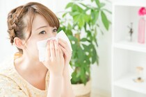【要注意】「えっ…！」　これが「春のスギ花粉症」と「秋の花粉症」の違いです！