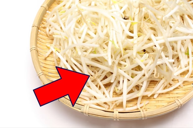 【コスパ最強】もやしの「ひげ根」取る派・取らない派が真っ二つ! 実際どうするのがいいの?→管理栄養士に答えを聞いた