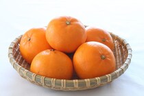 【すごい！】手を汚さずに「ミカン」を4分割！　JA全農が紹介する“裏ワザ”