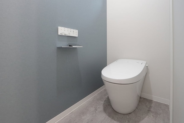 ライブ参加者、近隣病院のトイレを“無断使用”か…目撃情報に「非常識にもほどがある」「言葉を失う」　罪に問われる？【弁護士解説】