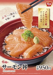 すき家「サーモン丼」発売　白髪ねぎ＆マヨ、青ねぎ＆コチュジャントッピングも
