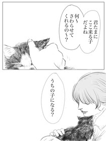 【ねこ漫画】保護した瞬間から“家族”だった…　出会ってわずか一年半で虹の橋を渡った元野良猫の“生きた証”