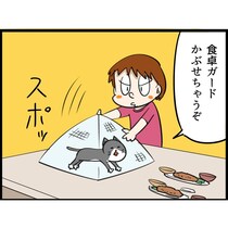 【ねこ漫画】食卓に上がる愛猫への最終手段！　「食卓ガード」をかぶせたら…　まさかの反応に「これは許すしかない（笑）」