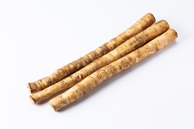 「ゴボウ」食べ過ぎが深刻な症状招く? 吸収が妨げられる栄養素も…正しい食べ方を専門医に聞く