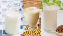「牛乳」「豆乳」「アーモンドミルク」、毎日飲むならどれがいい？