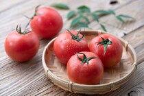 【豆知識】「えっ…知らなかった！」　これがおいしい「トマト」を見分けるコツです！