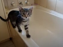 【動画】「えっ…踊ってる…！？」 これが、ルナvsバスタブの戦いの結末です！（26秒）