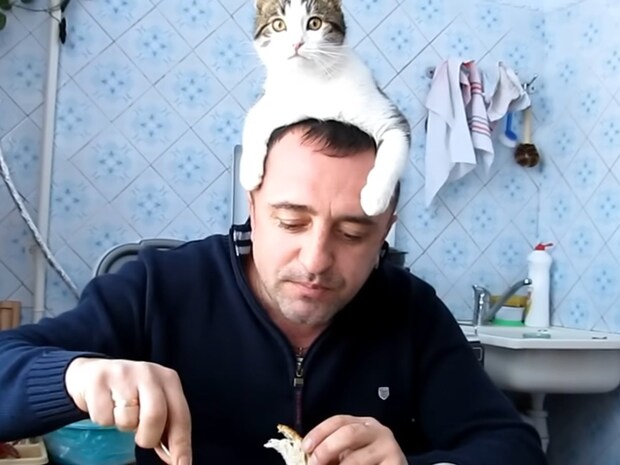 食事中のご主人を“毛づくろい”!? 頭をペロペロする猫に「愛情深い猫ちゃん」「幸せな食卓」の声