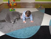 同じおもちゃで遊んでる！　猫と赤ちゃんの“まるできょうだい”な仲良し姿に「癒やされます」の声続出