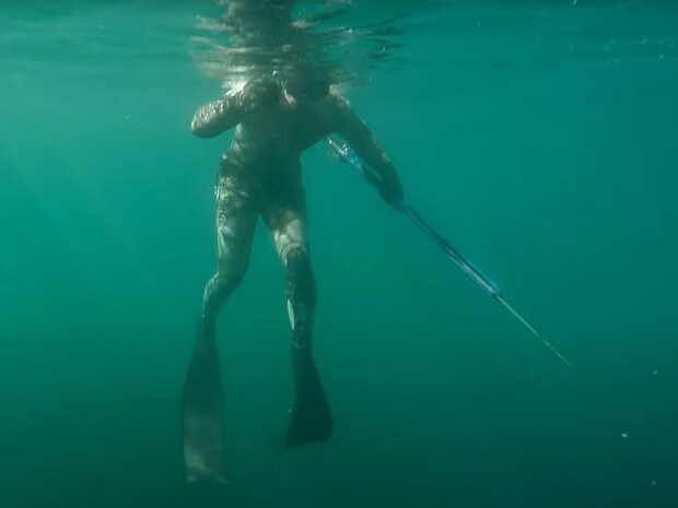 まさに「ジョーズ」の世界! ダイビング中に背後から突然出現した“ホホジロザメ”に「怖すぎる」