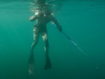 【動画】「うわぁあああ！」　巨大な“ホホジロザメ”の出現に驚く投稿者　その後、サメが再びやってきて大ピンチ！