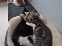 【動画】「えっ…ラブラブだったじゃん…！」 熱烈ハグするプリンス＆トムの“あまりにも急すぎる”展開を見よ！