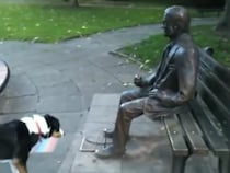 【動画】木の枝で遊びたいの？　何度も“銅像”に枝を渡すワンちゃんがかわいすぎて抱きしめたい！