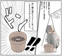 【うそだろ】ベランダで「ハトの卵」を発見した漫画が話題に　勝手に捨てたら違法と知った作者、実際には？