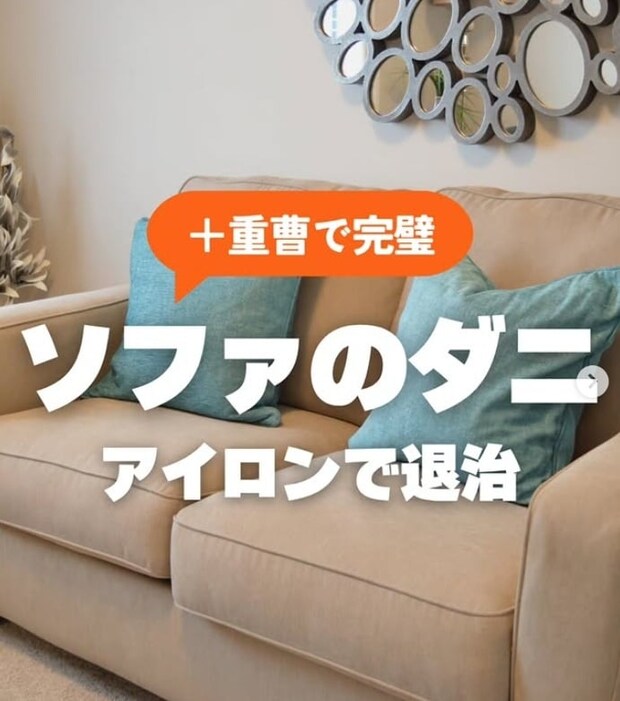すぐに実践できる！　ソファに潜む「ダニ」の“退治法”とは
