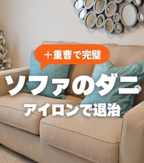 【豆知識】「えっ…とても簡単じゃん！」　これがソファに潜んでいる「ダニ」の“撃退法”です