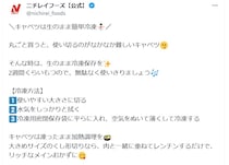 もう腐らせない！　キャベツを長持ちさせる“保存テクニック”とは？