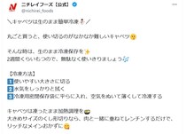【豆知識】「えっ…とても便利！」 これがキャベツを長持ちさせる“簡単テクニック”です