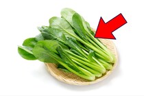 物価高で注目集める《お手頃野菜》…実は「苦手野菜」15位→5位に急上昇していた！　「子どもが食べてくれない」悩みも広がる