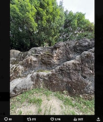 「ニホンカモシカはどこにいるかな？」　上野動物園の《難易度MAX》問題にSNS大苦戦「え、いる？」「難しすぎ」「分からんw」