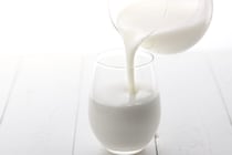【真偽】飲酒前に「牛乳」「飲むヨーグルト」摂取すると、本当に“二日酔い”を予防できるの？　管理栄養士が解説