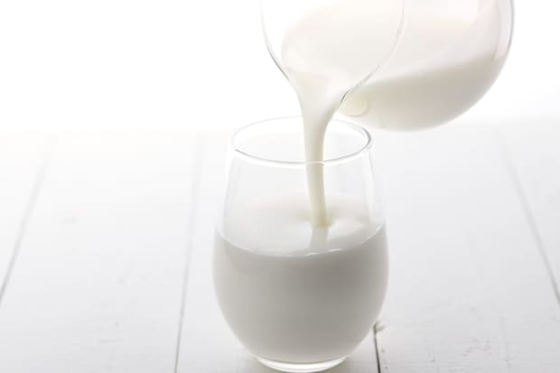 【真偽】飲酒前に「牛乳」「飲むヨーグルト」摂取すると、本当に“二日酔い”を予防できるの？　管理栄養士が解説