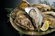 【豆知識】「カキ」にあたる人、あたらない人って何が違うの？　専門医に聞いて分かった両者の“明確な差”