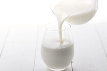 【真偽】飲酒前に「牛乳」「飲むヨーグルト」摂取すると、本当に“二日酔い”を予防できるの？　管理栄養士が解説