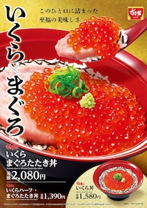 【画像】「イクラがいっぱい！」　これが、豪華すぎる「メガいくら丼」です！