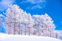 「冬の風物詩」ランキング　3位「雪」2位「お年玉」…1位は、街中を歩いていて“The・冬！”となる風物詩がランクイン