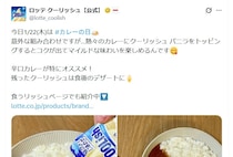 「カレー」に加えるとマイルドな味わいに！　ロッテが紹介する“意外なトッピング”に「絶対おいしいやつ」